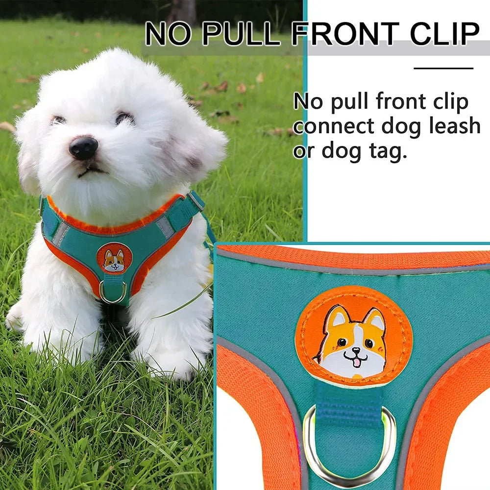 Step-in Dog Harness & Leash Set