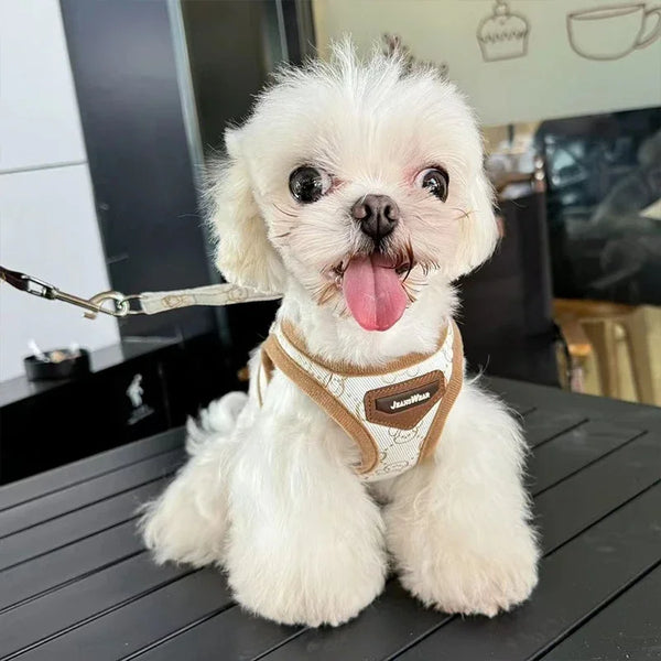 Bronzing Denim Leash & Harness Kit for Small Dogs