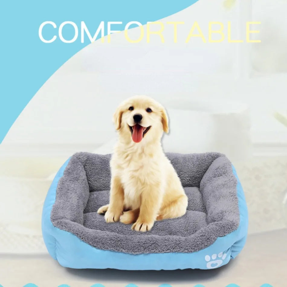 Large Washable Pet Bed & Cushion