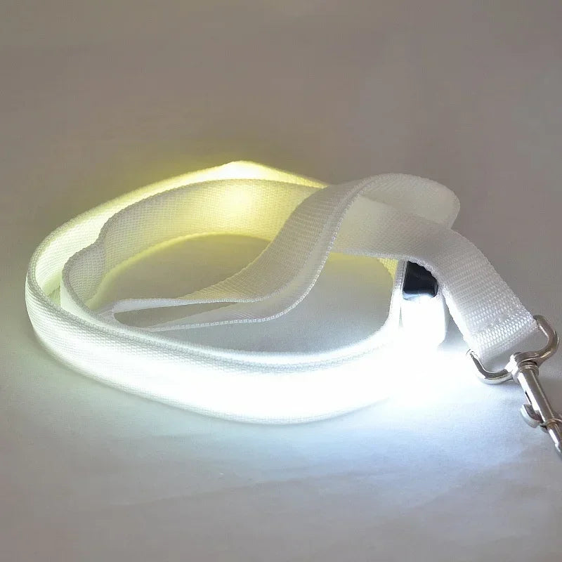 Flashing LED Dog Leash, Harness, Collar