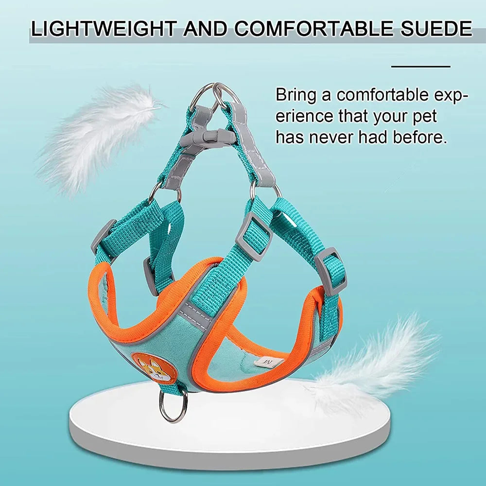 Step-in Dog Harness & Leash Set