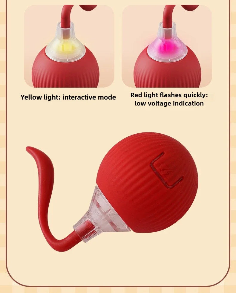 Self-Moving Electric Cat Training Ball