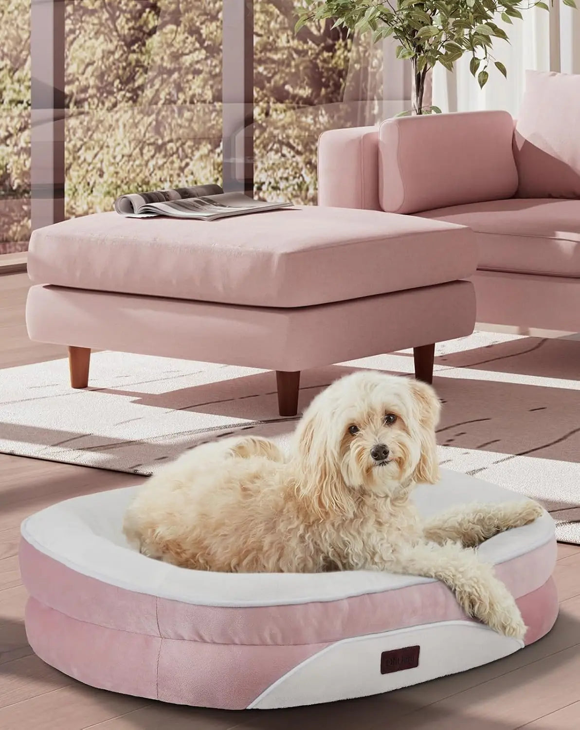 Orthopedic Dog Bed for Large Pets