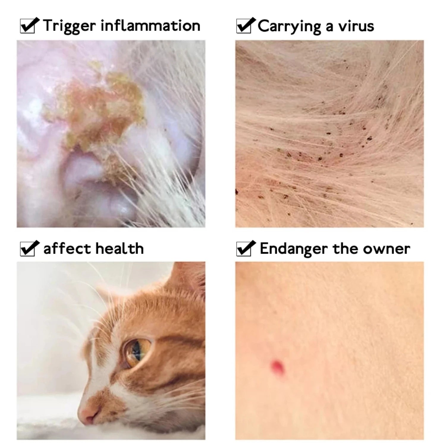 Anti-Flea & Tick Collar