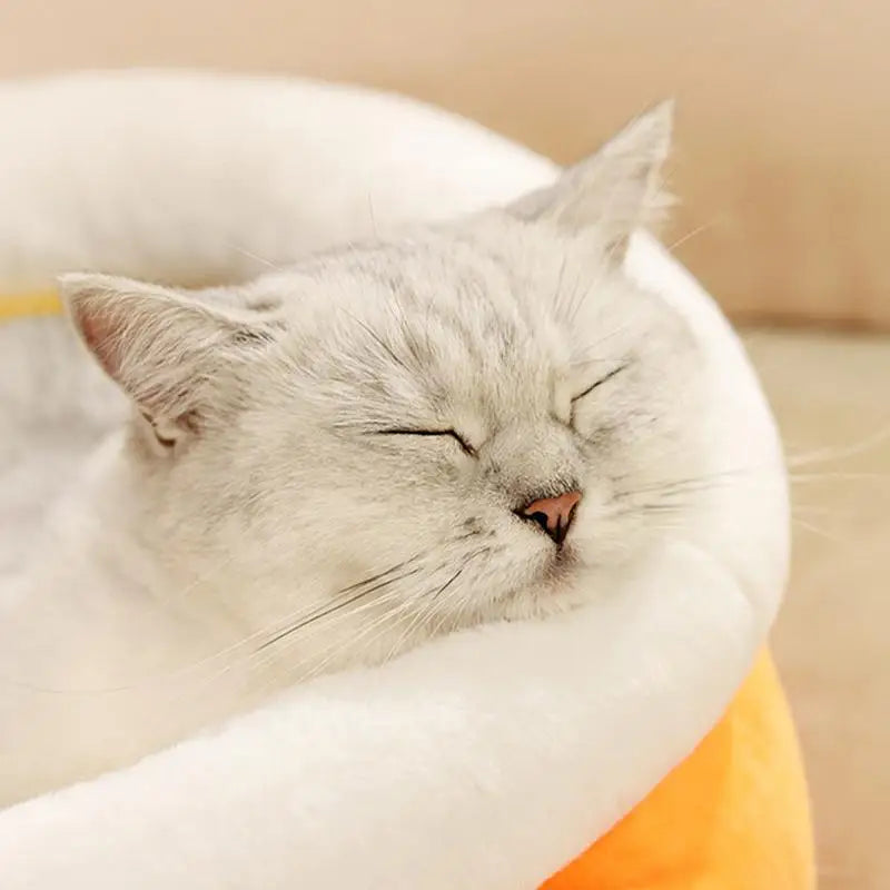 Winter Warm Cat Bed