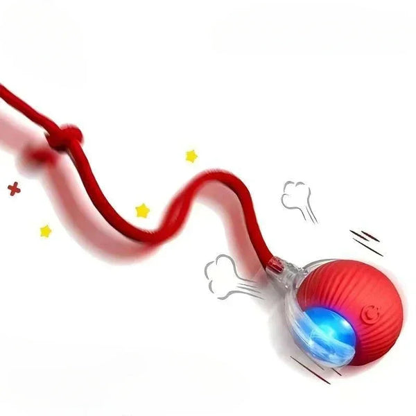 Interactive Rolling Cat Toy with Tail