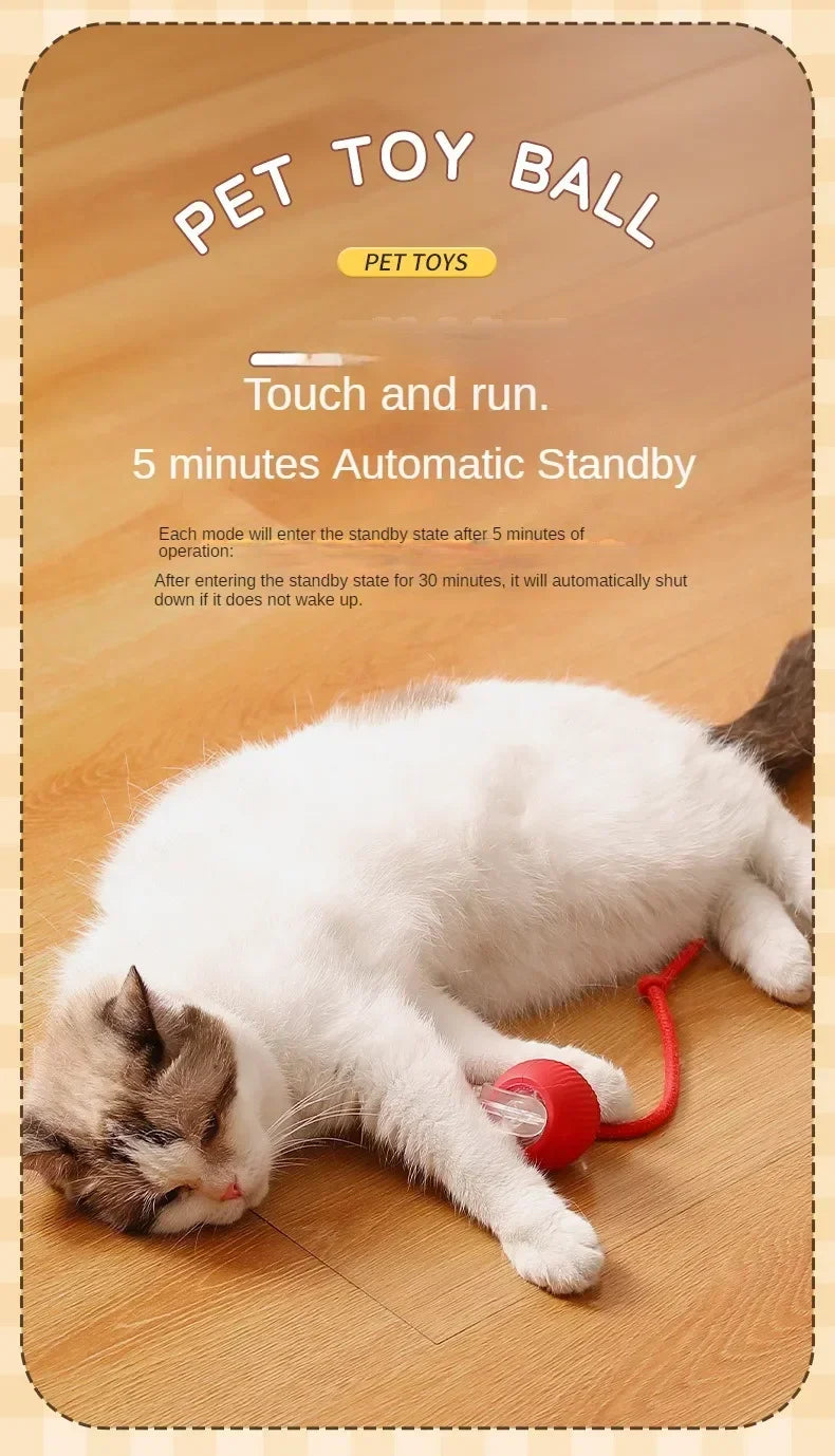 Self-Moving Electric Cat Training Ball