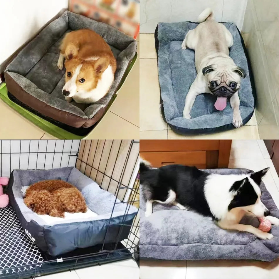 Large Washable Pet Bed & Cushion