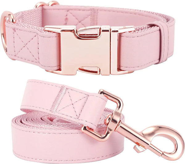 Dog Collar and Leash Set