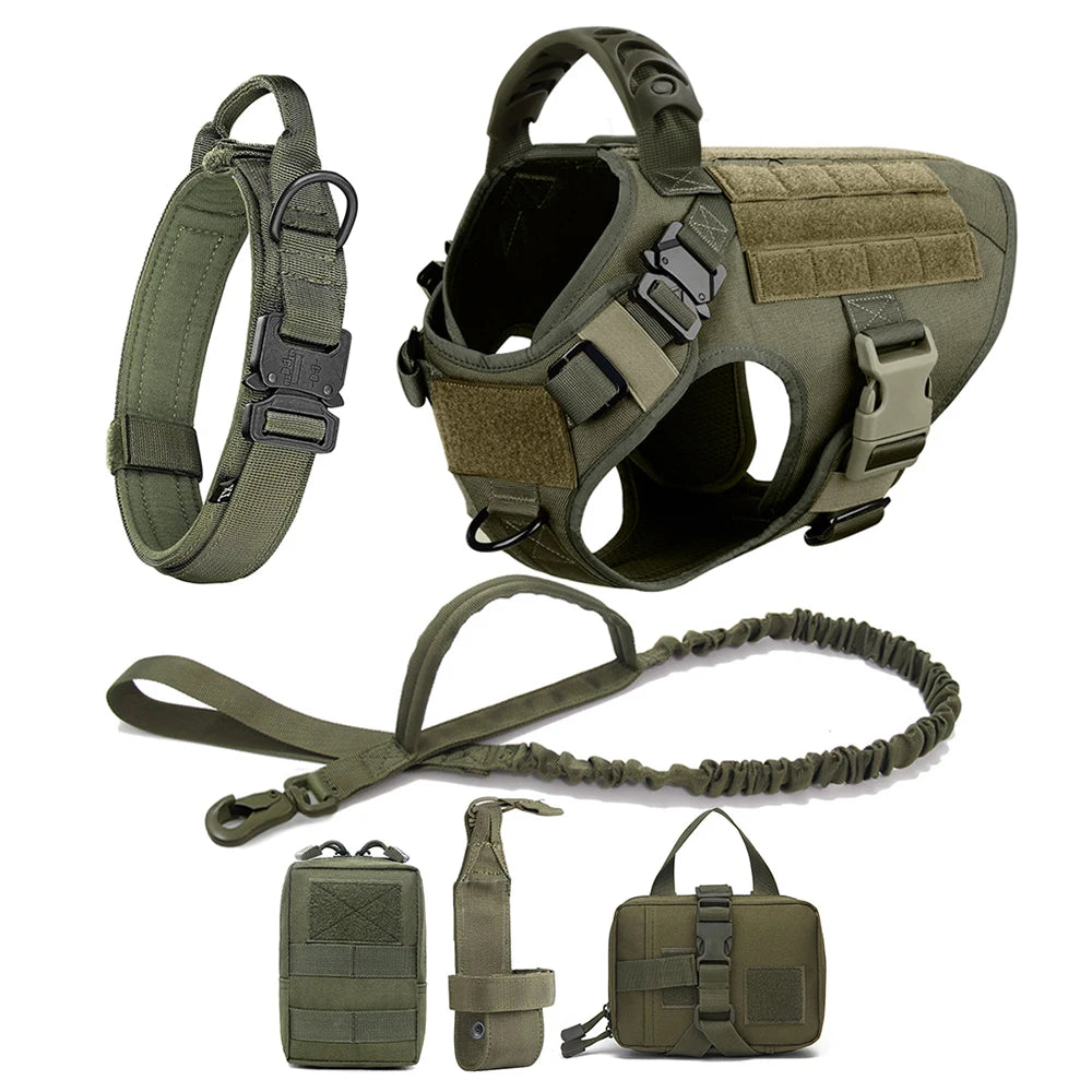 Large Dog Harness & Leash Set