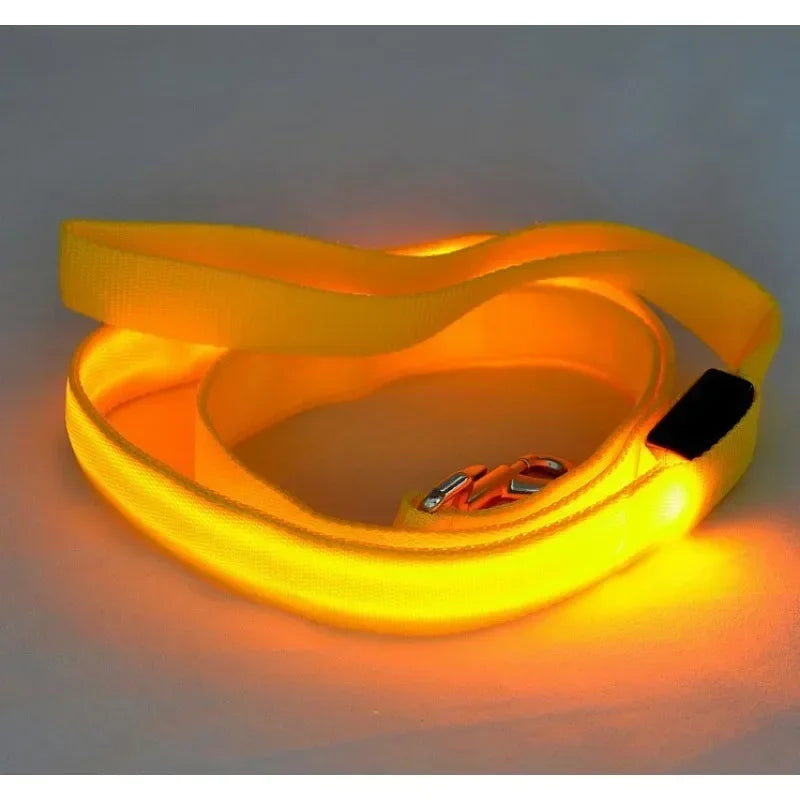 Flashing LED Dog Leash, Harness, Collar