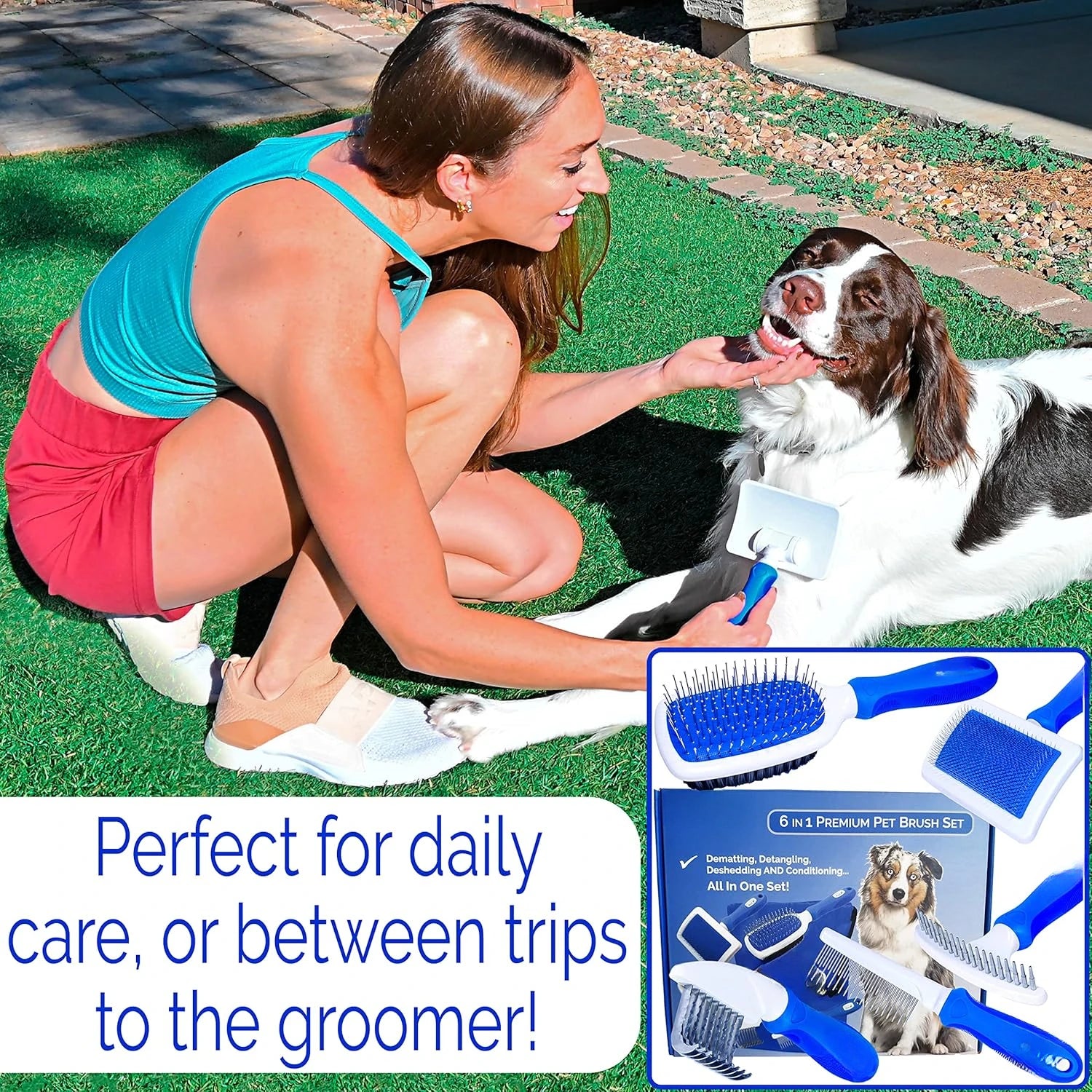 Premium Dog Brush Set