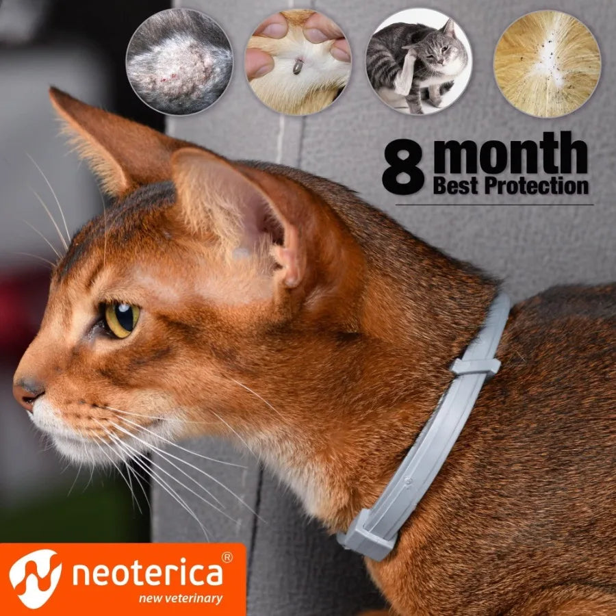 Natural Flea & Tick Collar for Cats