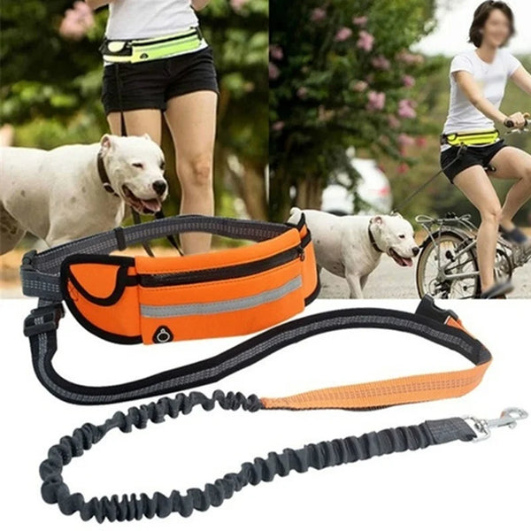 Professional Dog Harness – Adjustable, Comfortable, Durable