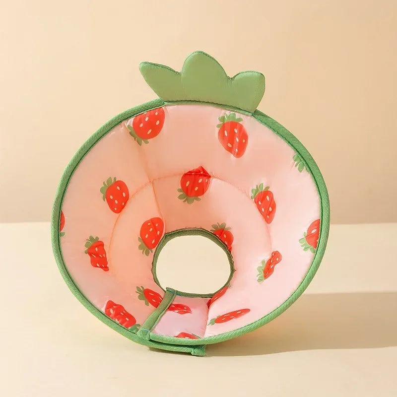 Pet Elizabethan Collar