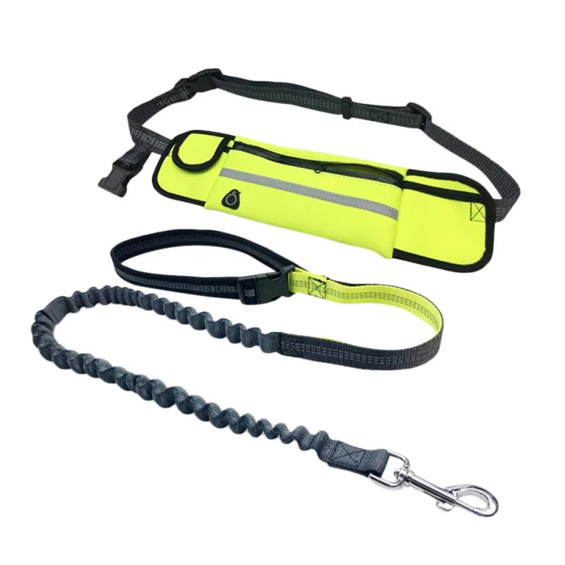Professional Dog Harness – Adjustable, Comfortable, Durable