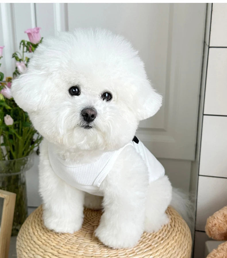 Summer Breathable Dog Vest for Small Pets