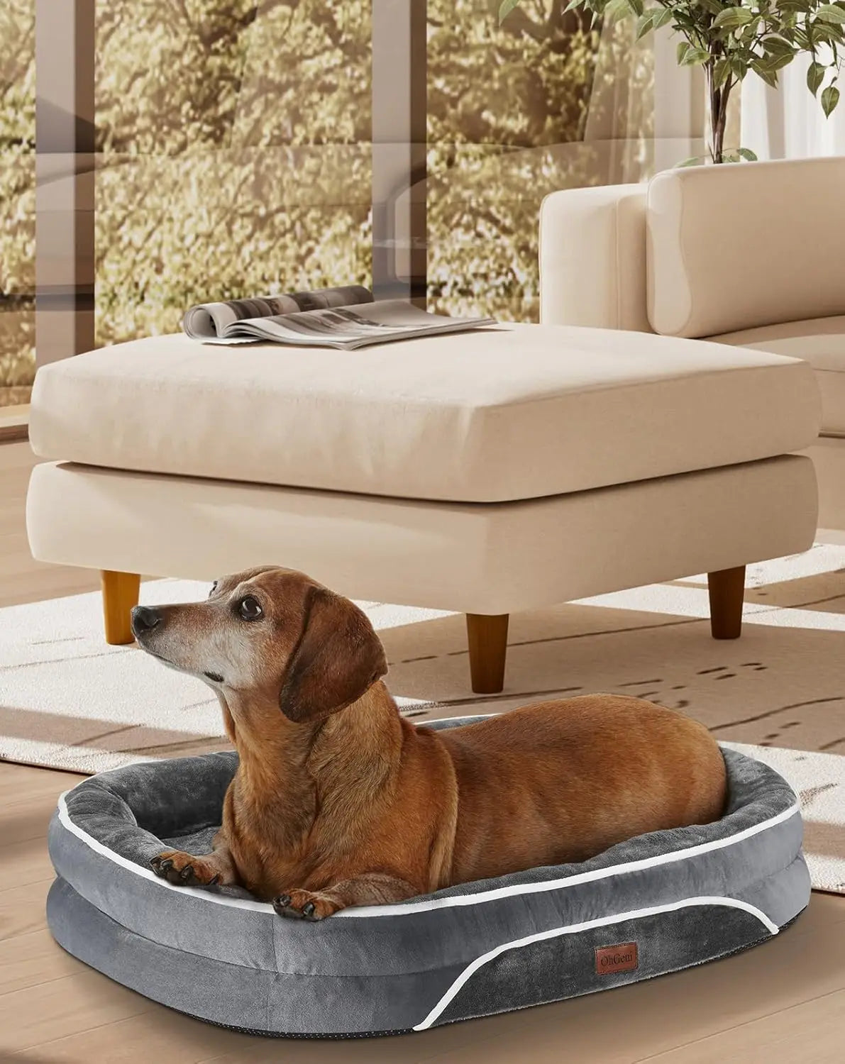 Orthopedic Dog Bed for Large Pets