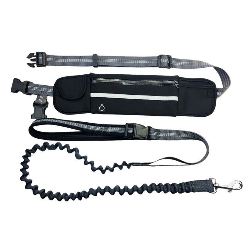Professional Dog Harness – Adjustable, Comfortable, Durable