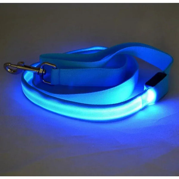 Flashing LED Dog Leash, Harness, Collar