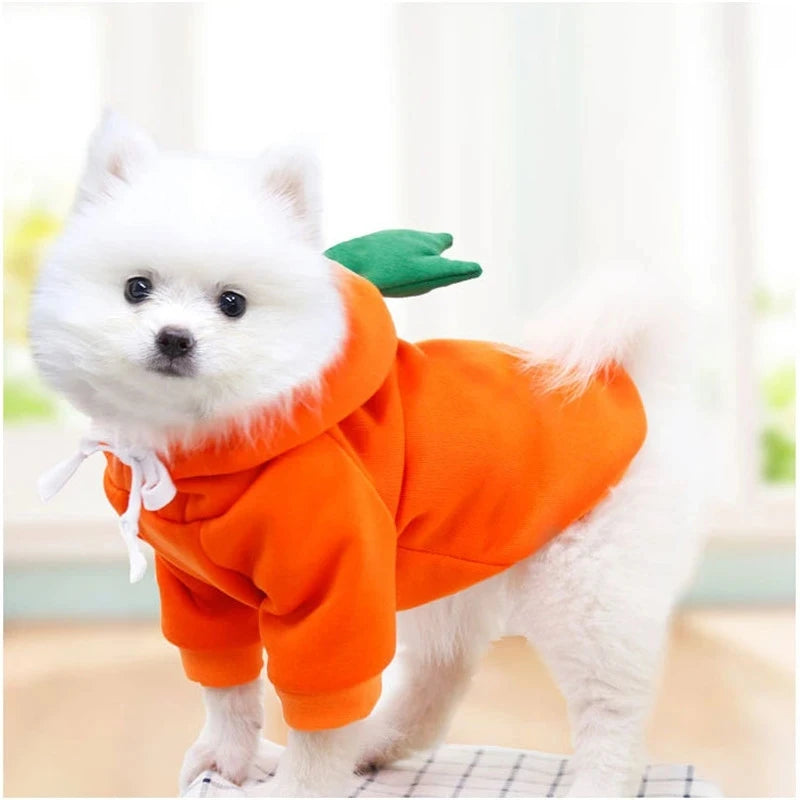 Cute Fruit Dog Hoodie
