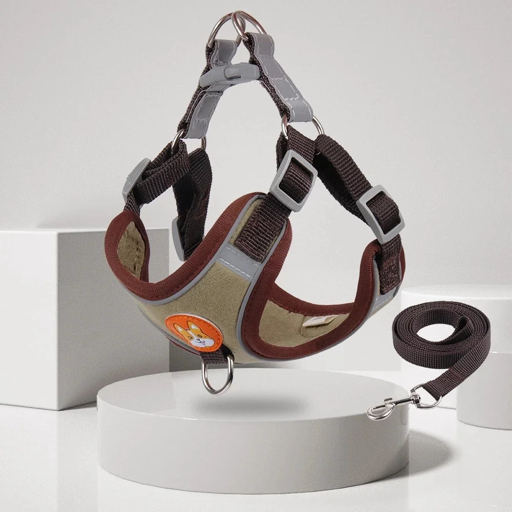 Step-in Dog Harness & Leash Set