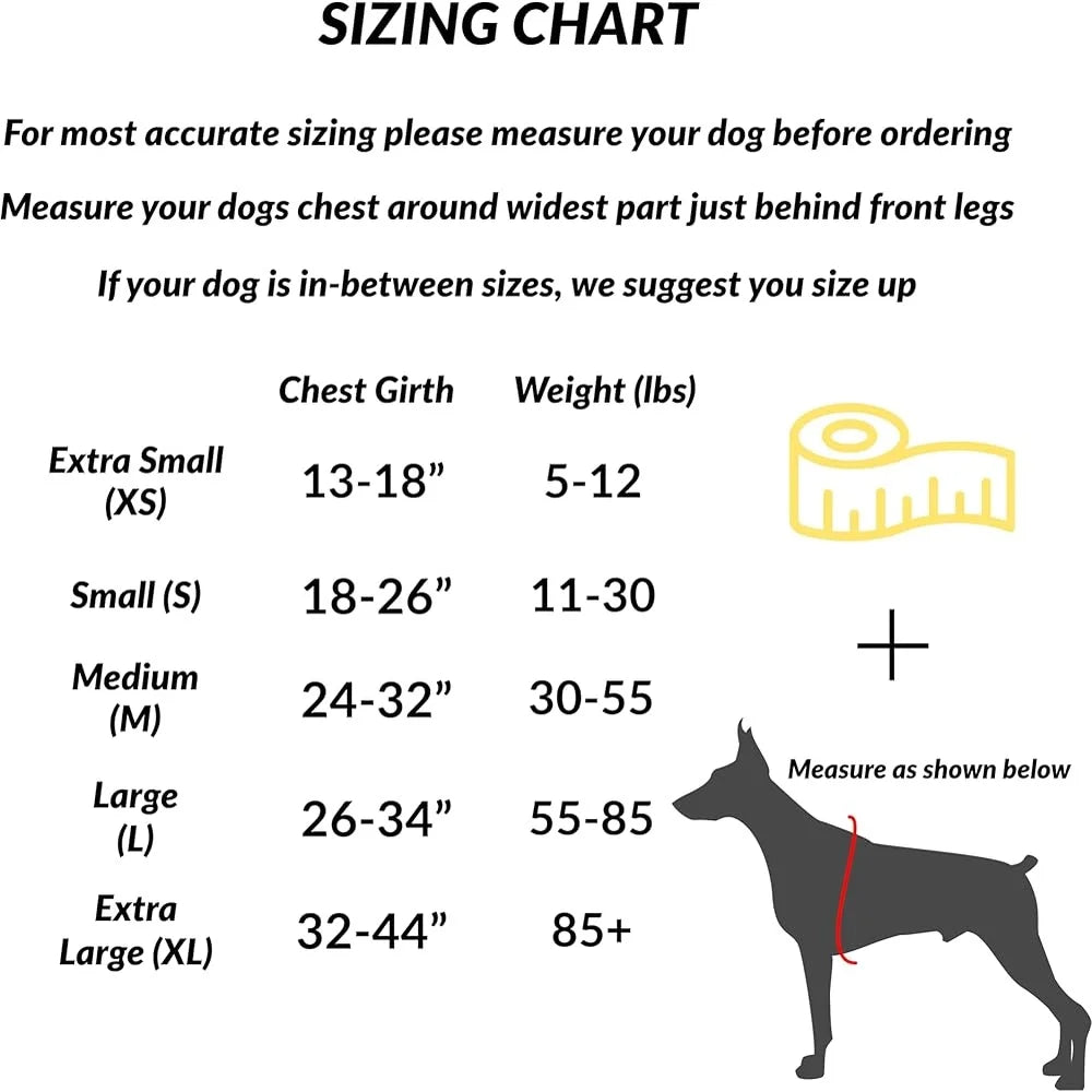 Essential Dog Harness No-Pull Pet Vest