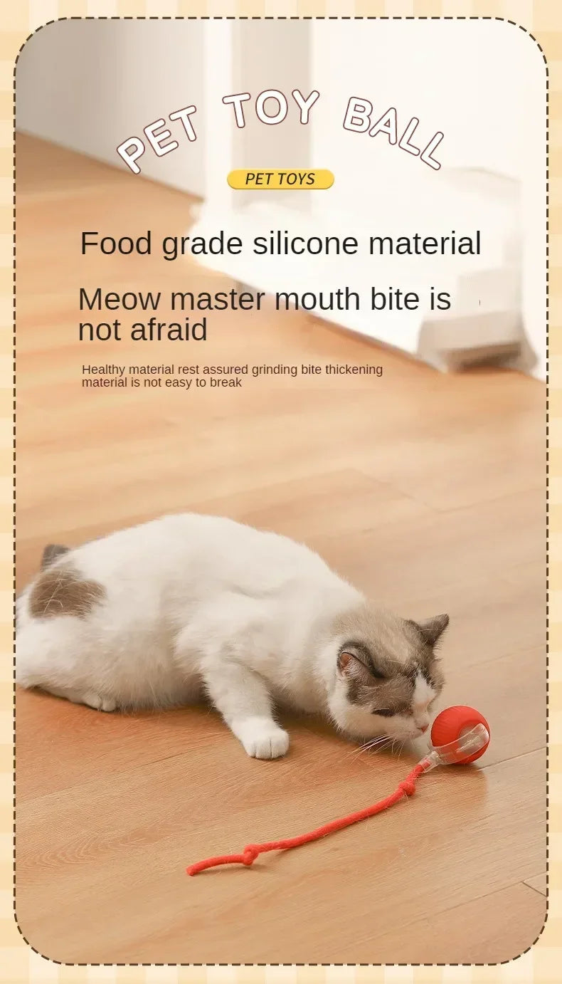 Self-Moving Electric Cat Training Ball