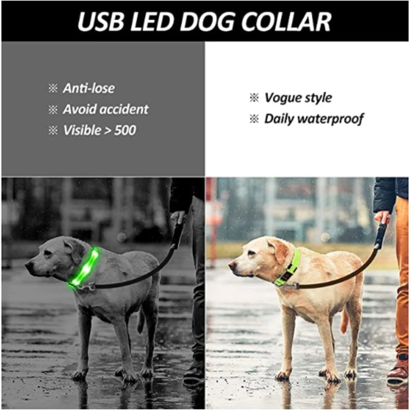 LED Luminous Dog Collar with USB Charging