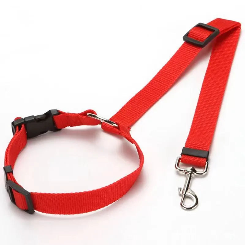 Two-in-One Pet Car Seat Belt & Leash