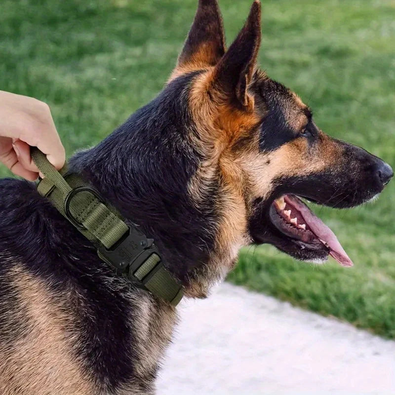 Heavy Duty Tactical Dog Collar with Handle