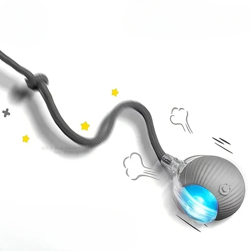 Interactive Rolling Cat Toy with Tail