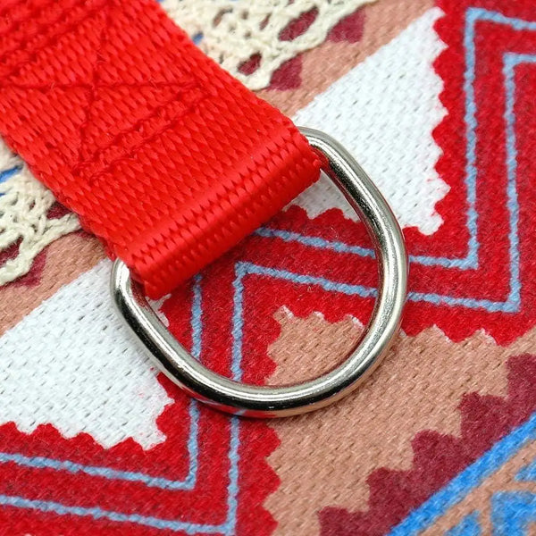 Dog Harness Leash Set