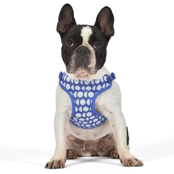 Blue Dodo Print Step-In Dog Harness