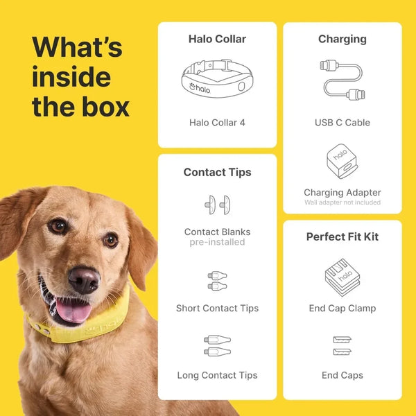 GPS Wireless Dog Fence & Training Collar