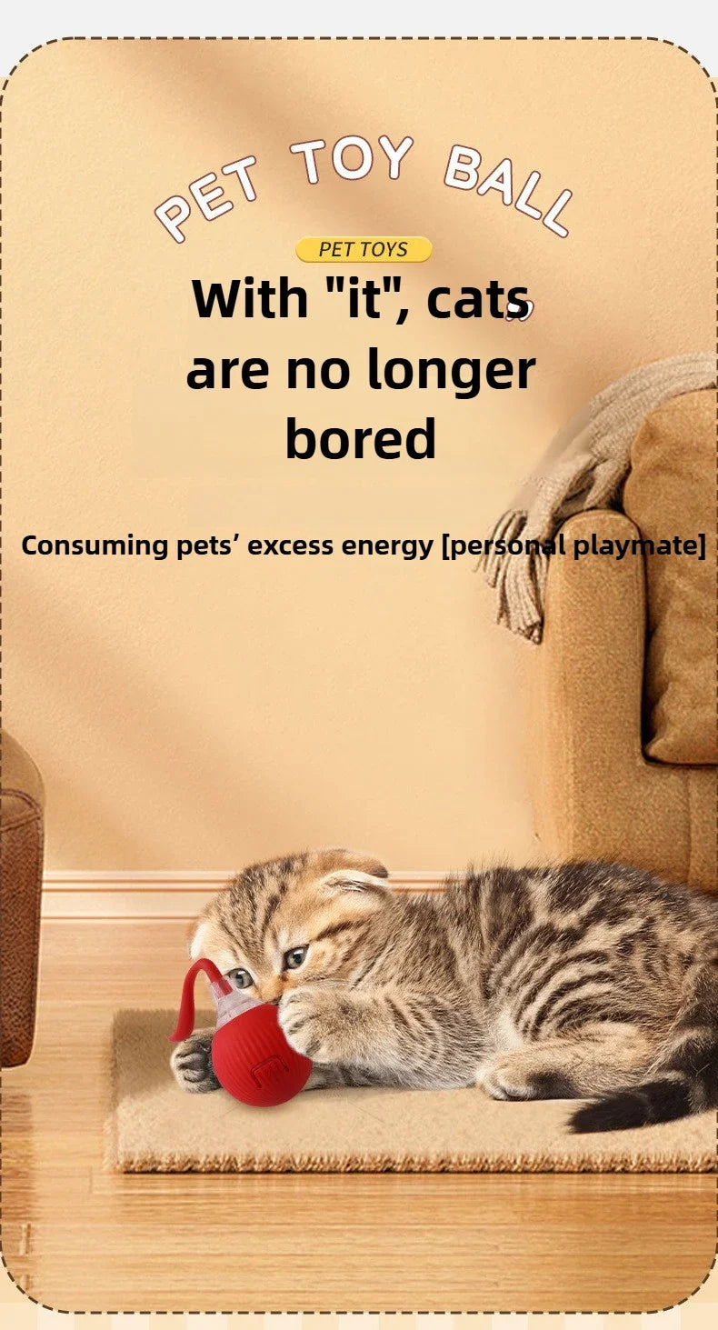 Self-Moving Electric Cat Training Ball