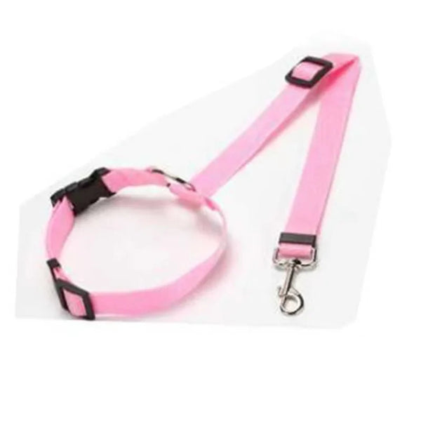 Two-in-One Pet Car Seat Belt & Leash