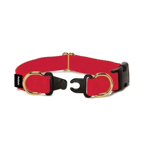 Break-Away Dog Collar