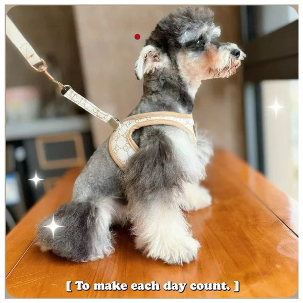 Bronzing Denim Leash & Harness Kit for Small Dogs