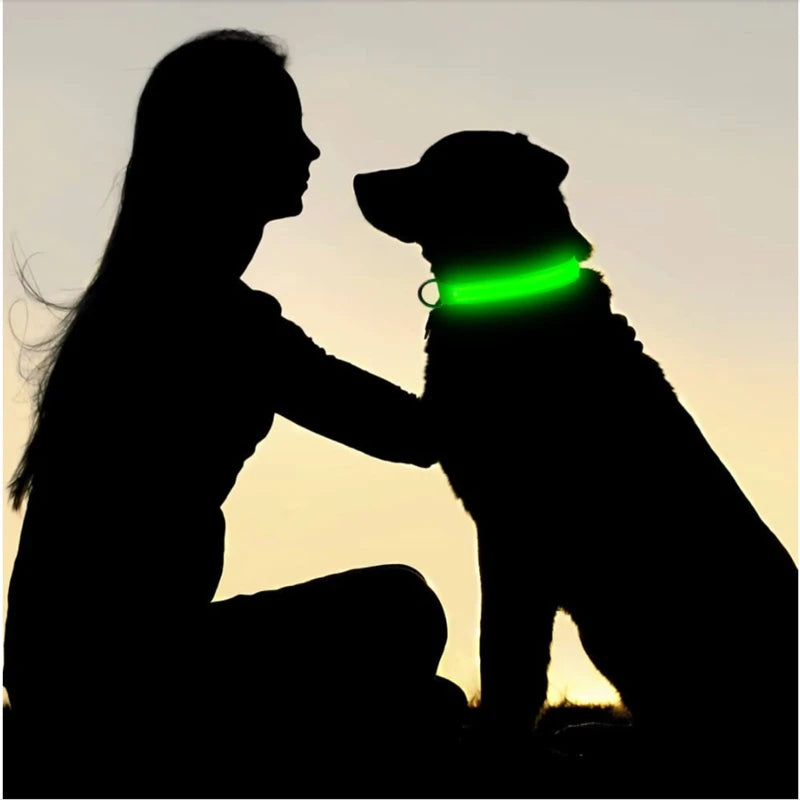 LED Luminous Dog Collar with USB Charging