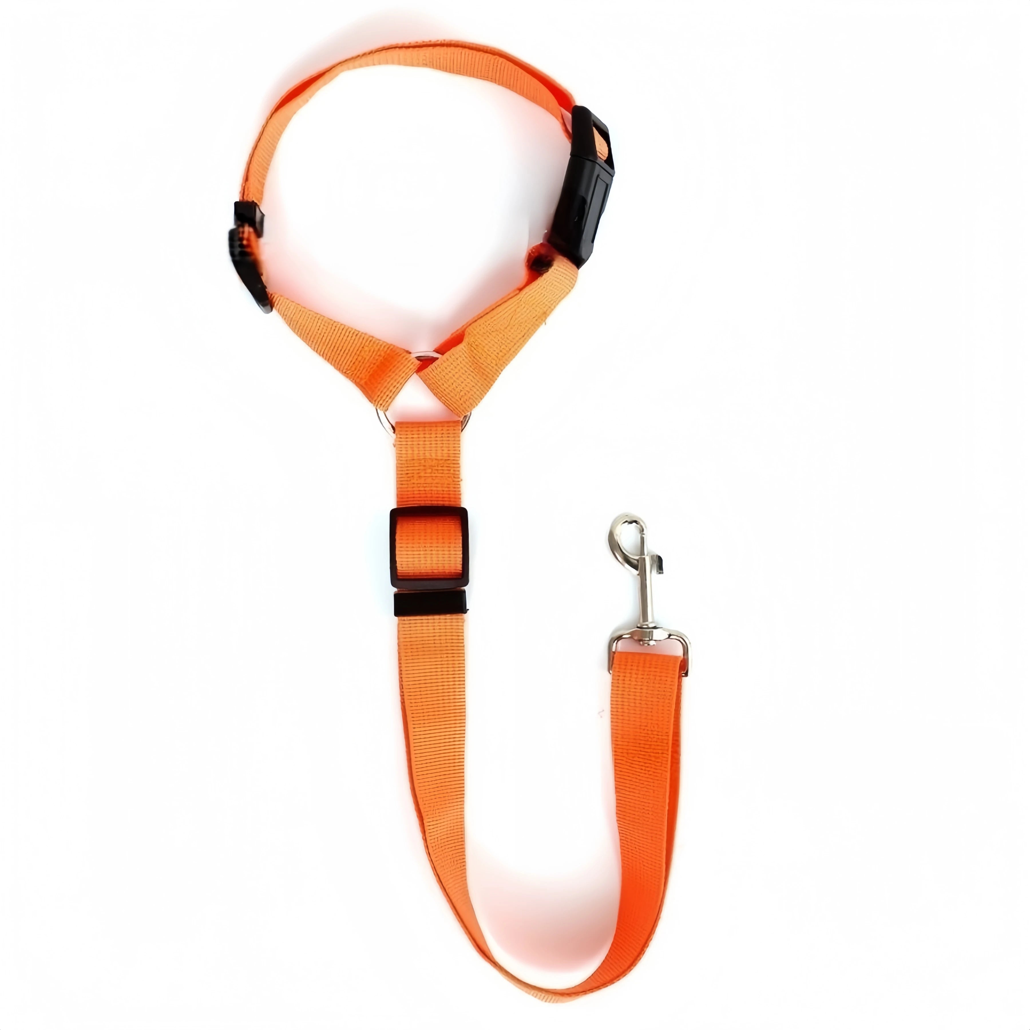 Two-in-One Pet Car Seat Belt & Leash