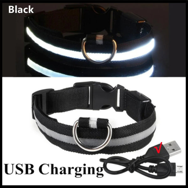 LED Luminous Dog Collar with USB Charging