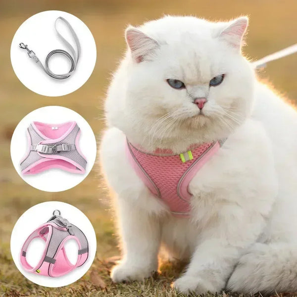 Vest Walking Traction Rope Cat Harness