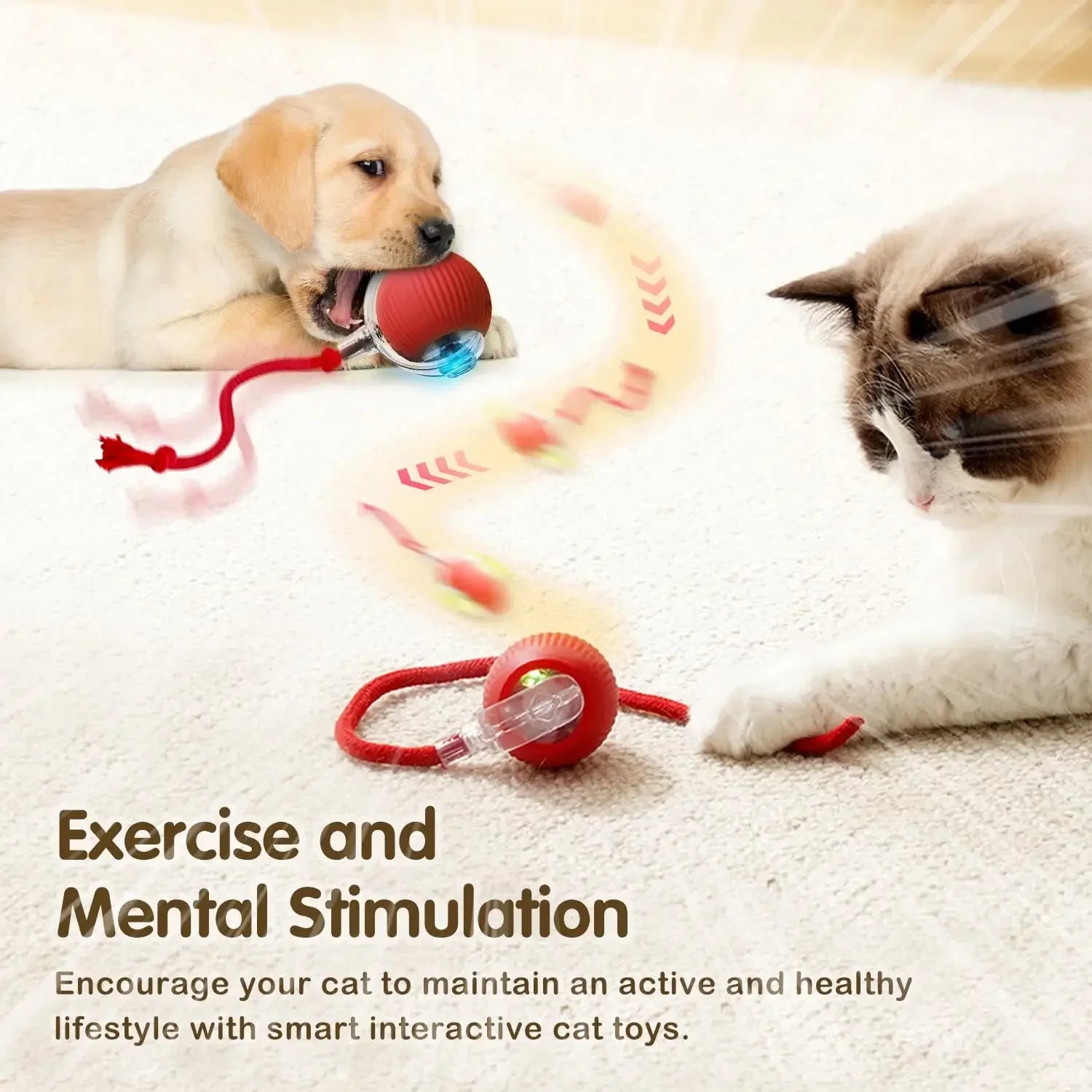 Interactive Rolling Cat Toy with Tail
