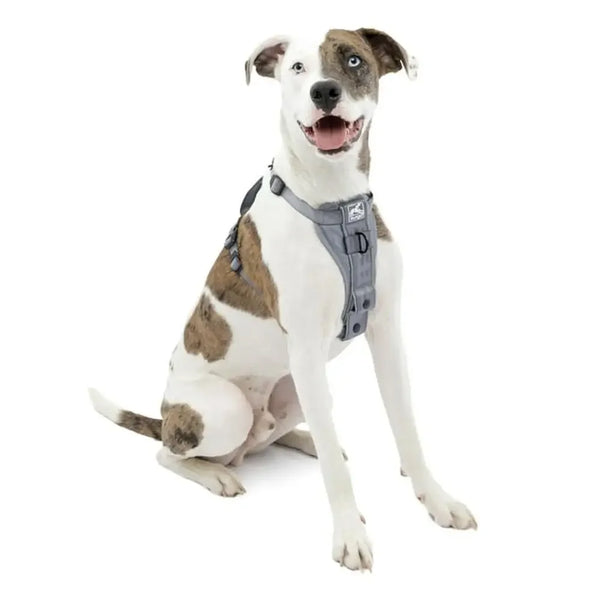 Smart Harness Dog Walking & Training