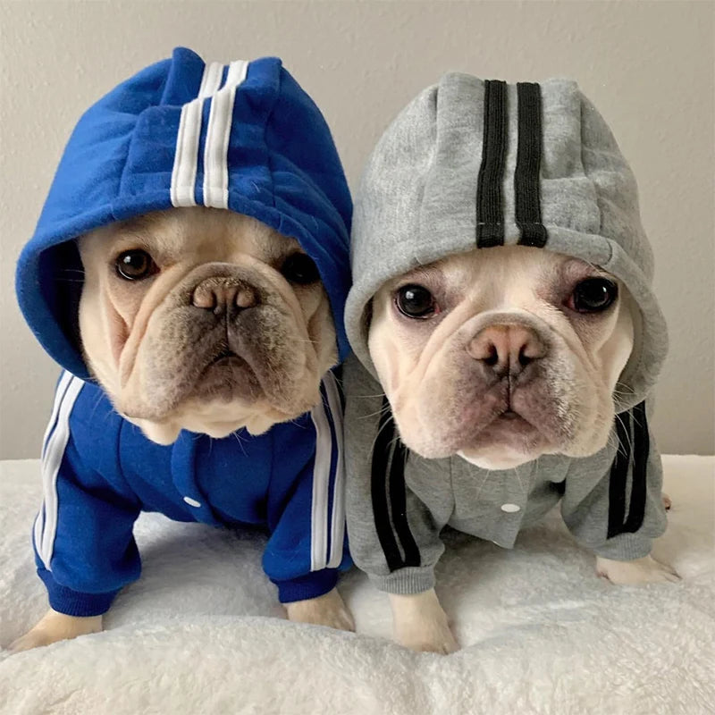 Adidog Dog Hoodie & Jumpsuit