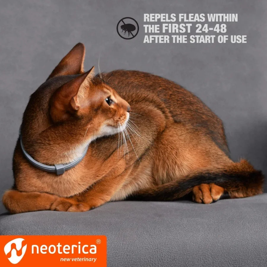Natural Flea & Tick Collar for Cats