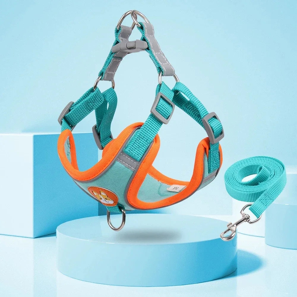 Step-in Dog Harness & Leash Set