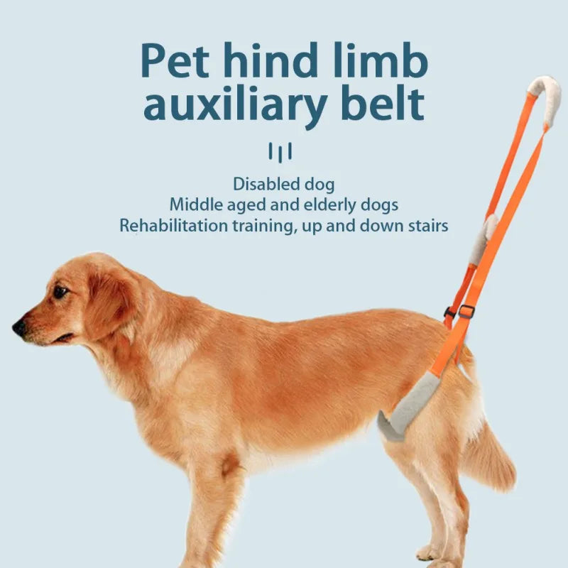 Dog Support Harness for Back Legs