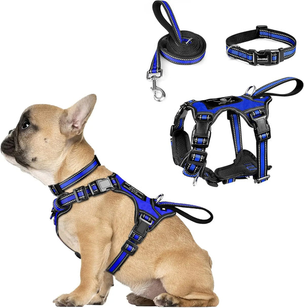 Flashing LED Dog Leash, Harness, Collar